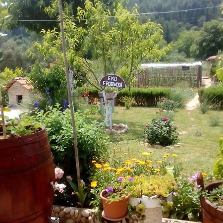 Apartman Rosa Apartment Skradin Exterior foto
