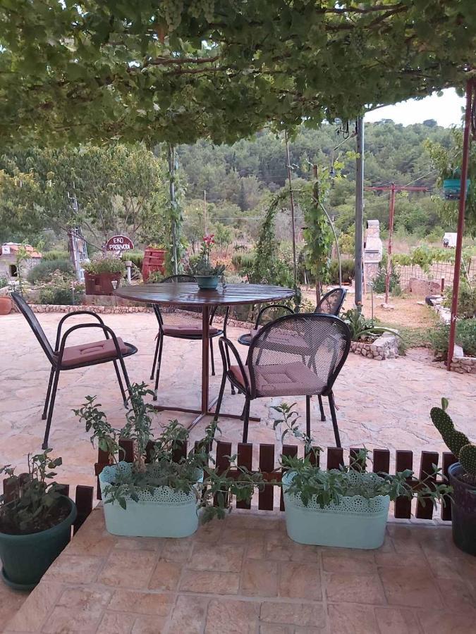 Apartman Rosa Apartment Skradin Exterior foto