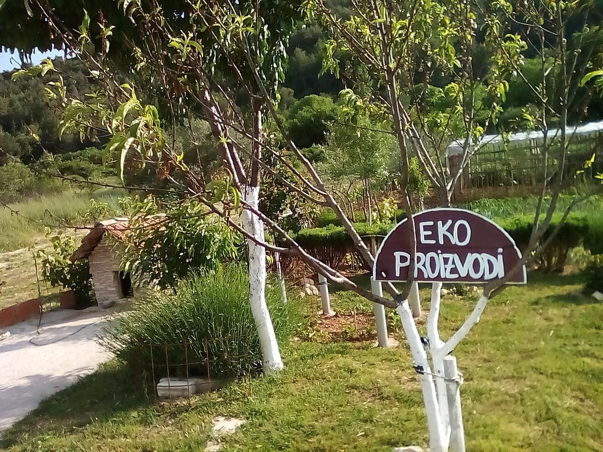 Apartman Rosa Apartment Skradin Exterior foto