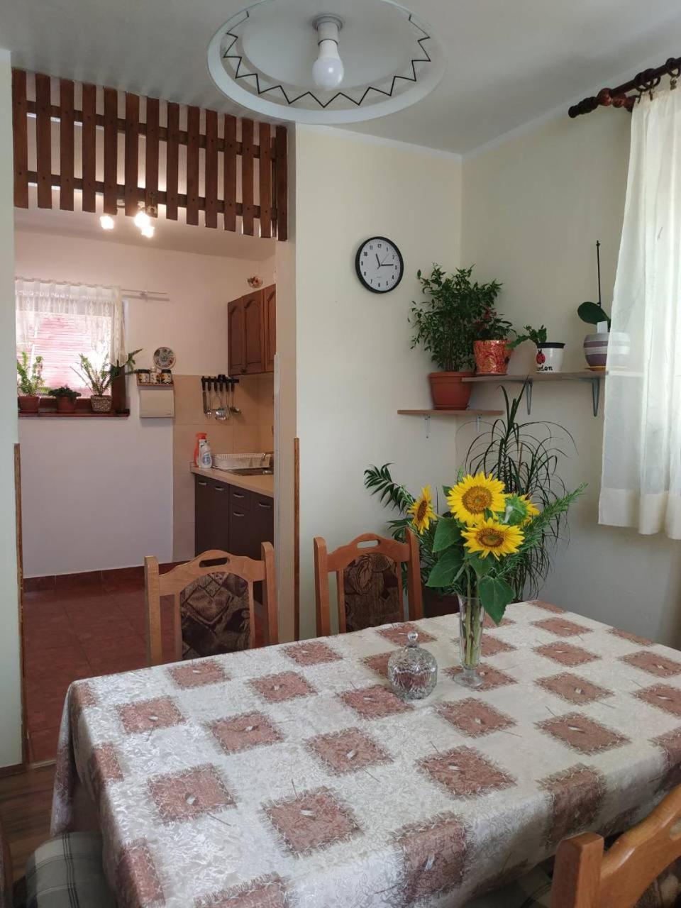 Apartman Rosa Apartment Skradin Exterior foto